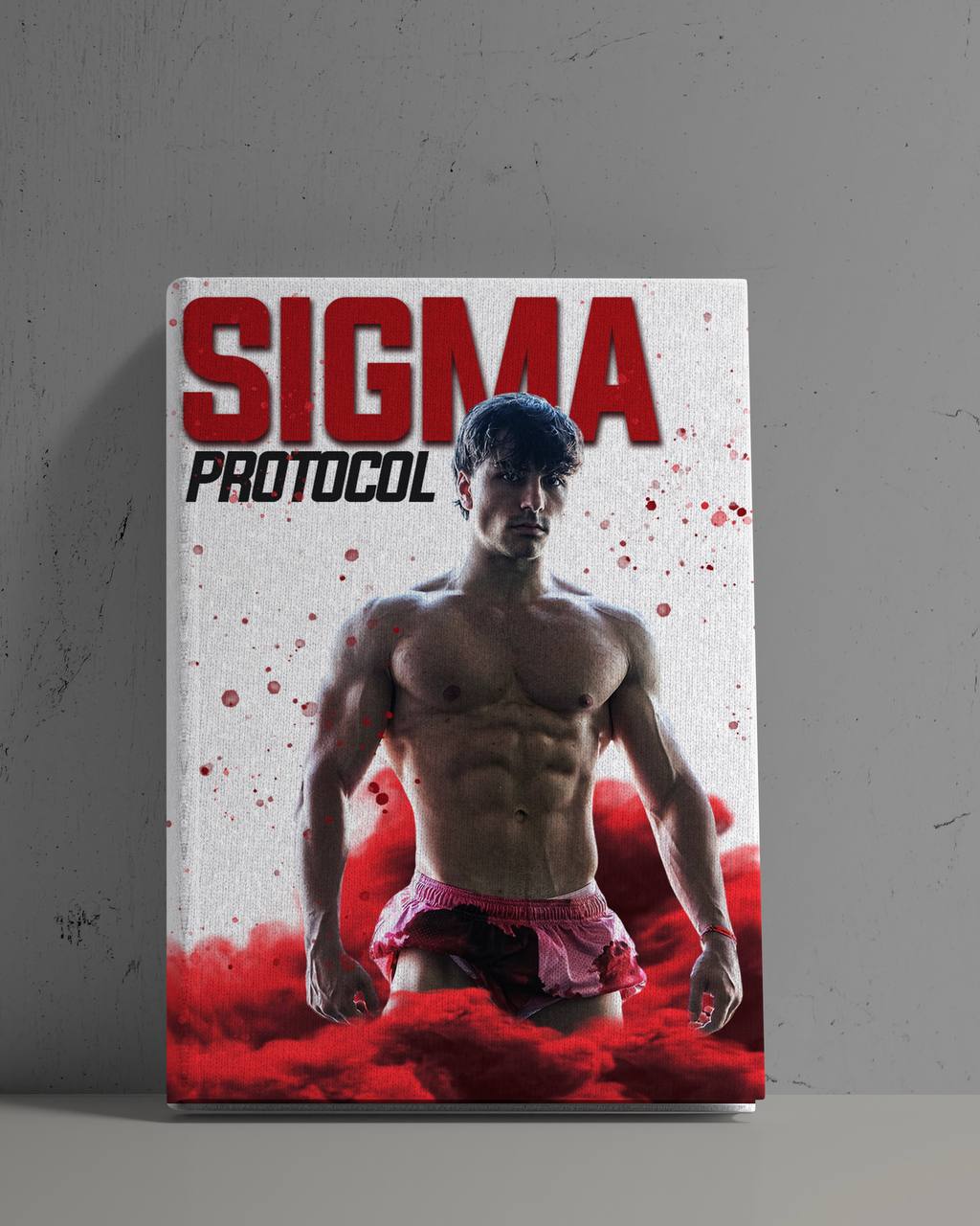 SIGMA PROTOCOL